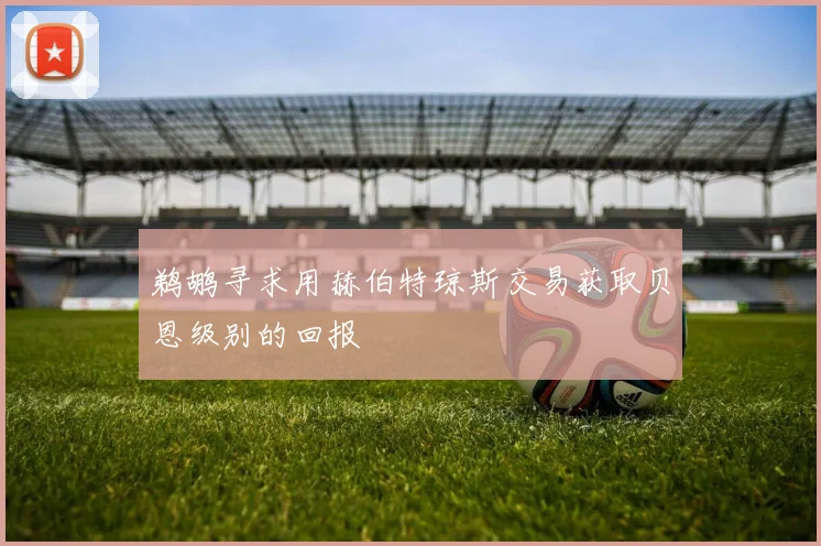 鹈鹕寻求用赫伯特琼斯交易获取贝恩级别的回报