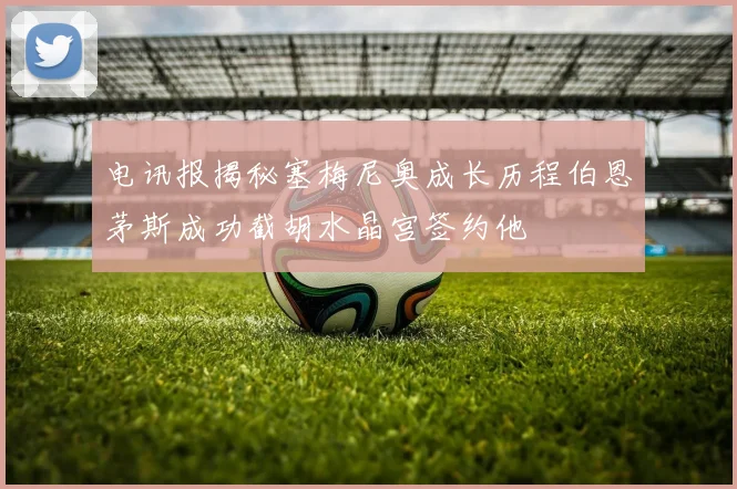 电讯报揭秘塞梅尼奥成长历程伯恩茅斯成功截胡水晶宫签约他